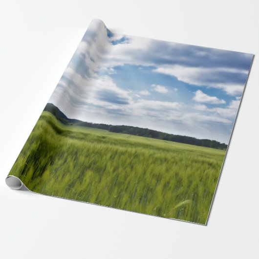 Groene Cornfields en Blauwe Skies Cadeaupapier (Uitgerold)