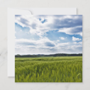 Groene Cornfields en Blauwe Skies Kaart