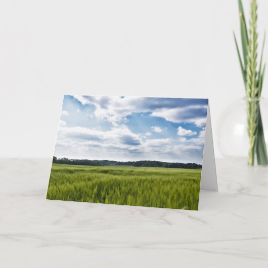 Groene Cornfields en Blauwe Skies Kaart (Voorkant)