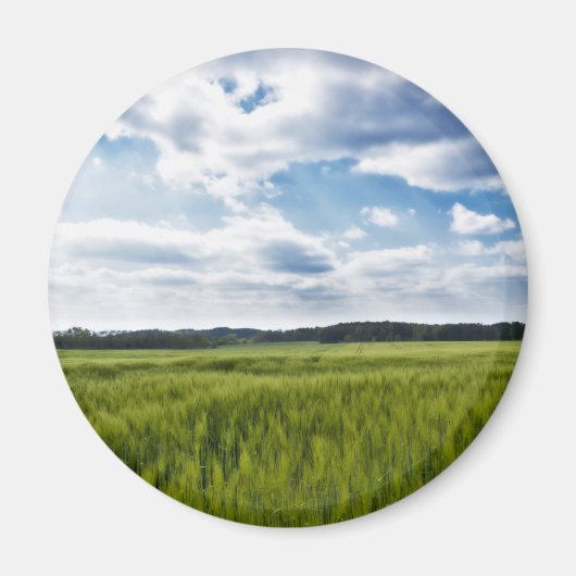 Groene Cornfields en Blauwe Skies Magneet (Voorkant)