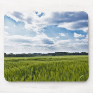 Groene Cornfields en Blauwe Skies Muismat