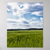 Groene Cornfields en Blauwe Skies Poster (Voorkant)