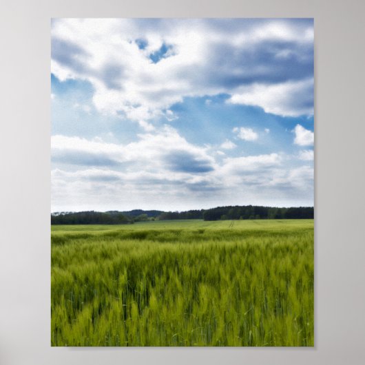Groene Cornfields en Blauwe Skies Poster (Voorkant)