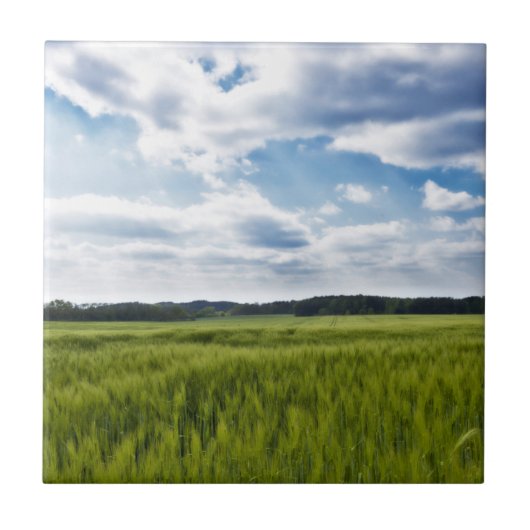 Groene Cornfields en Blauwe Skies Tegeltje (Voorkant)