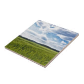 Groene Cornfields en Blauwe Skies Tegeltje (Zijkant)