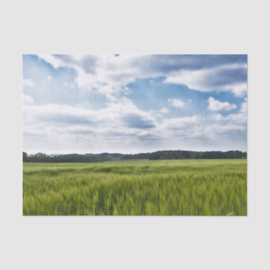 Groene Cornfields en Blauwe Skies Tissuepapier (Voorkant)