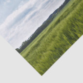 Groene Cornfields en Blauwe Skies Tissuepapier (Detail)