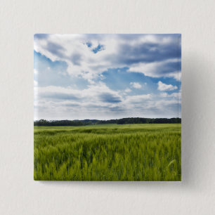Groene Cornfields en Blauwe Skies Vierkante Button 5,1 Cm