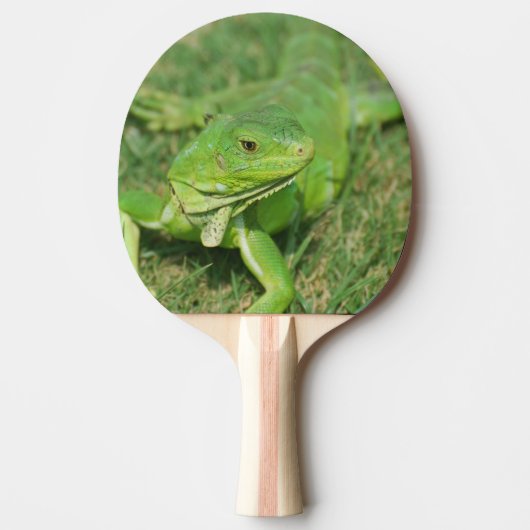 Groene Creeping Lizard Tafeltennisbatje (Voorkant)