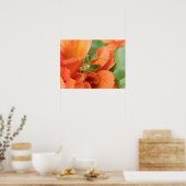 Groene cricket Afdrukken Poster (Keuken)