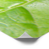 Groene cricket Camouflage afdrukken Poster (Hoek)