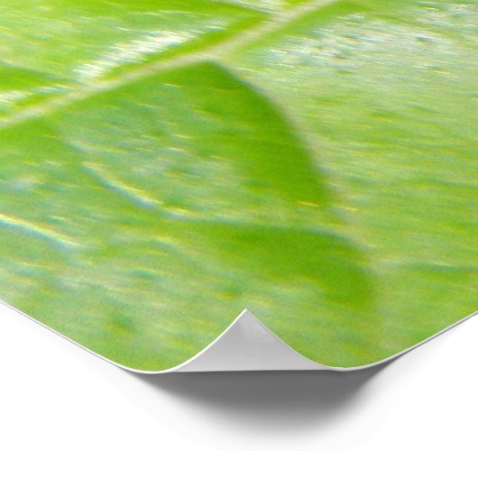 Groene cricket Camouflage afdrukken Poster (Hoek)