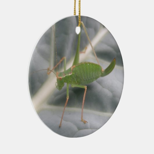 Groene cricket Macro - Aangepaste verjaardag Keramisch Ornament (Rechts)