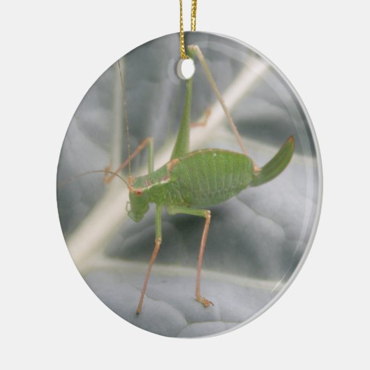 Groene cricket Macro - Aangepaste verjaardag Keramisch Ornament (Links)
