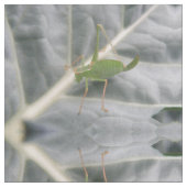 Groene cricket Macro Patterned Animal Fabric Stof (Close Up)