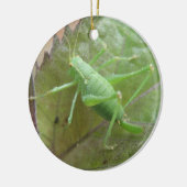Groene cricket op een Leaf Custom Birthday Keramisch Ornament (Links)