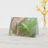 Groene Cricket op een Leaf Wenskaart Kaart (Gele Bloem)