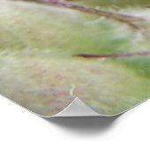 Groene cricket op een lebafdruk poster (Hoek)