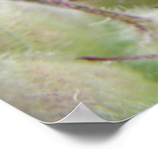 Groene cricket op een lebafdruk poster (Hoek)