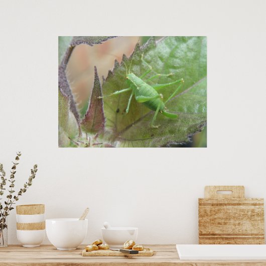 Groene cricket op een lebafdruk poster (Keuken)