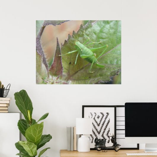 Groene cricket op een lebafdruk poster (Thuiskantoor)