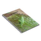 Groene cricket op een leder Notitieboek (Rechterzijde)