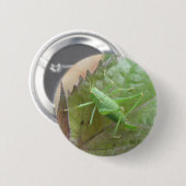 Groene cricket op een lederen Button (Voorkant /achterkant)