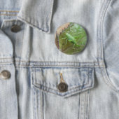 Groene cricket op een lederen Button (In situ)