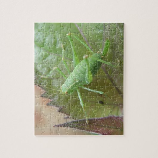 Groene cricket op een lederen puzzel (Verticaal)