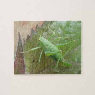 Groene cricket op een lederen puzzel legpuzzel