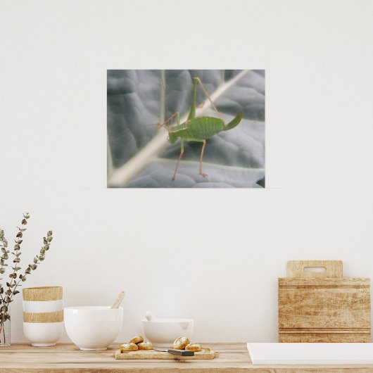 Groene cricketmacro afdrukken poster (Keuken)