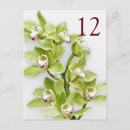 Groene Cymbidium Orchid Bloemen Tafel Kaarten