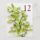 Groene Cymbidium Orchid Bloemen Tafel Kaarten (Voorkant)