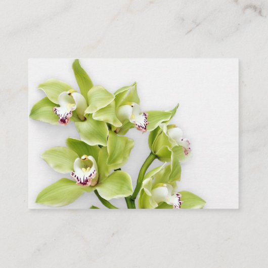 Groene Cymbidium Orchid Bruiloft Receptie Invoegen Informatiekaartje (Achterkant)