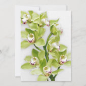 Groene Cymbidium Orchid Retirement Invitation Kaart (Achterkant)