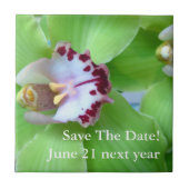 Groene Cymbidium Orchid Tegeltje (Voorkant)