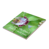 Groene Cymbidium Orchid Tegeltje (Zijkant)