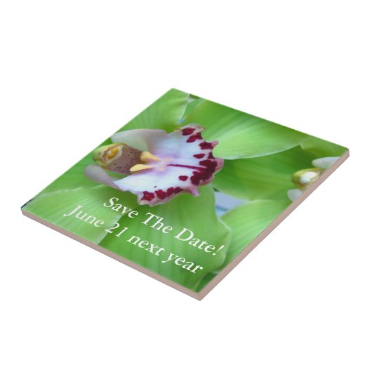 Groene Cymbidium Orchid Tegeltje (Zijkant)