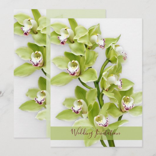Groene Cymbidium Orchid Weddenschap 5x7 Grootte Kaart (Voorkant / Achterkant)