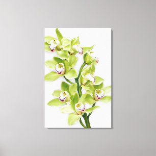 Groene Cymbidium Orchidee Bloem Verpakt Canvas Pri
