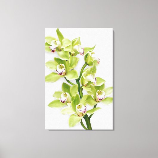Groene Cymbidium Orchidee Bloem Verpakt Canvas Pri (Voorkant)