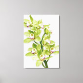 Groene Cymbidium Orchidee Bloem Verpakt Canvas Pri Afdruk (Voorkant)