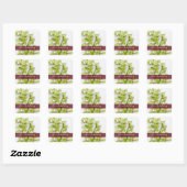 Groene Cymbidium Orchidee Bruiloft Vierkante Stick Sticker (Vel)