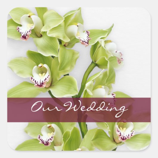 Groene Cymbidium Orchidee Bruiloft Vierkante Stick Sticker (Voorkant)