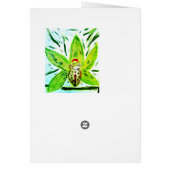 groene cymbidium orchidee-Kaart (Achterkant)