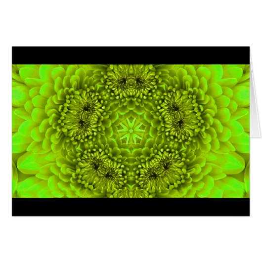GROENE DAHLIA BLOEMBLADEREN (Voorkant Horizontaal)