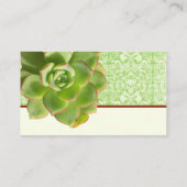 Groene  Damascus ivory Place-kaarten Plaatskaartje (Achterkant)