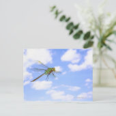 Groene darner (Anax junius) tegen vliegen Briefkaart (Staand voorkant)