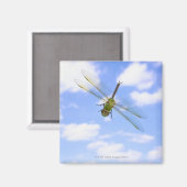 Groene darner (Anax junius) tegen wolken Magneet (Voorkant / Achterkant)