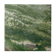 Groene decoratieve Tegel